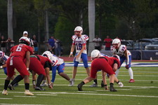 Enlarge photo 467