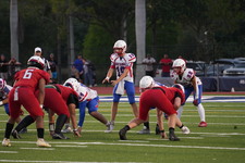 Enlarge photo 471