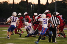 Enlarge photo 543