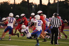 Enlarge photo 544