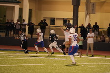 Enlarge photo 1233