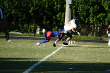 Enlarge photo 29