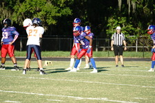 Enlarge photo 47