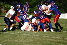 Enlarge photo 59