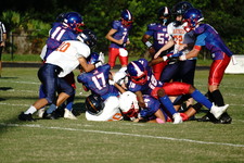 Enlarge photo 61