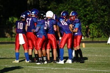 Enlarge photo 65
