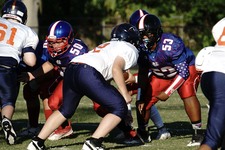 Enlarge photo 63