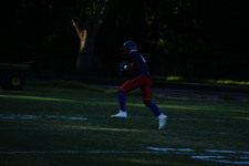 Enlarge photo 82