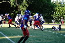 Enlarge photo 93