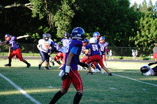 Enlarge photo 95