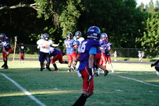 Enlarge photo 97