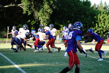Enlarge photo 98