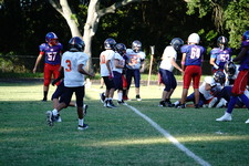 Enlarge photo 99
