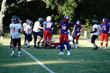 Enlarge photo 102