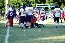 Enlarge photo 119