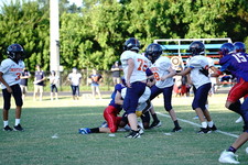 Enlarge photo 124