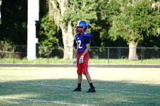 Enlarge photo 129