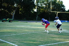 Enlarge photo 147