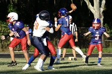 Enlarge photo 146