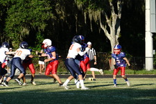 Enlarge photo 148