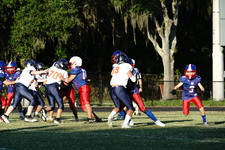 Enlarge photo 150