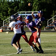 Enlarge photo 155