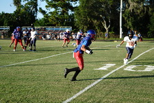 Enlarge photo 161