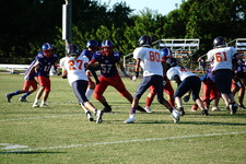 Enlarge photo 164