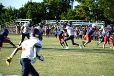 Enlarge photo 172