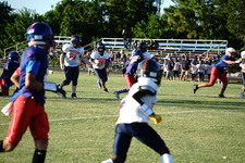 Enlarge photo 171