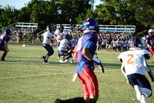 Enlarge photo 174