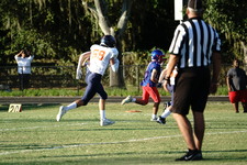 Enlarge photo 176