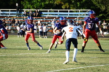 Enlarge photo 194