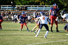 Enlarge photo 195