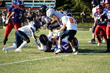 Enlarge photo 196