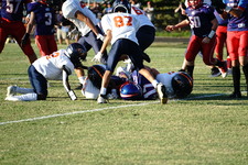 Enlarge photo 197