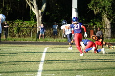 Enlarge photo 198