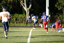 Enlarge photo 201