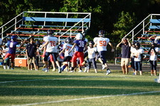 Enlarge photo 203
