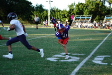 Enlarge photo 207