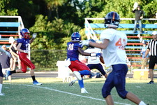 Enlarge photo 213
