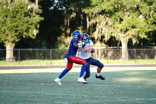 Enlarge photo 220