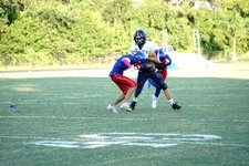Enlarge photo 225