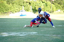 Enlarge photo 226