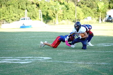 Enlarge photo 227