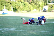 Enlarge photo 228