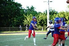 Enlarge photo 235