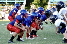Enlarge photo 241