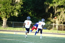 Enlarge photo 246