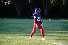 Enlarge photo 265